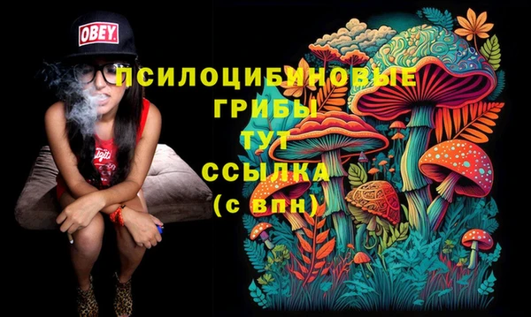 гидропоника Бронницы