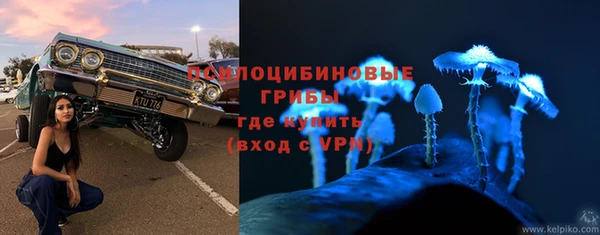 гидропоника Бронницы