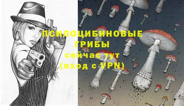 таблы Бородино