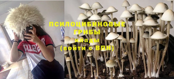 таблы Бородино