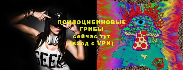 таблы Бородино